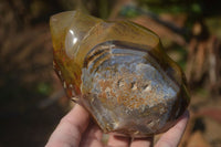 Polished Ocean Jasper Flame Sculptures x 2 From Madagascar