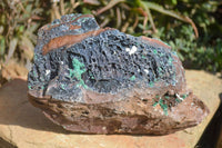 Natural Drusy Coated Ball Malachite On Dolomite Specimen x 1 From Likasi, Congo