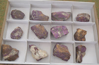 Natural Metallic Purpurite Cobbed Specimens  x 12 From Erongo, Namibia - Toprock Gemstones and Minerals 