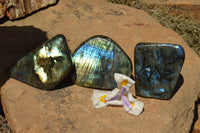 Polished Labradorite Standing Free Forms With Intense Blue & Gold Flash x 3 From Sakoany, Madagascar - TopRock