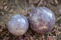 Polished Purple Lepidolite Spheres  x 6 From Madagascar - TopRock