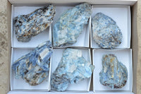 Natural Blue Kyanite Crystals In Schist Specimens  x 6 From Karoi, Zimbabwe - TopRock