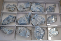 Natural Sky Blue Calcite Specimens With Hematite Spots  x 12 From Spitzkoppe, Namibia - Toprock Gemstones and Minerals 