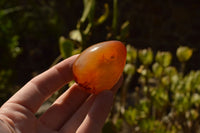 Polished Small Carnelian Agate Eggs  x 20 From Madagascar - TopRock