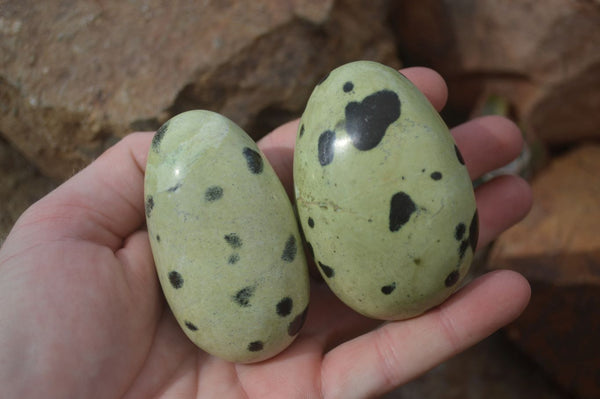 Polished Leopard Stone Free Forms  x 6 From Zimbabwe