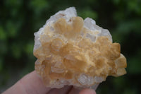 Natural Golden Limonite / Lemonite Quartz Clusters  x 24 From Zambia - Toprock Gemstones and Minerals 