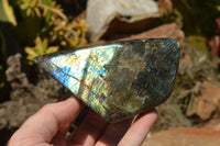 Polished Labradorite Standing Free Forms With Intense Blue & Gold Flash x 3 From Sakoany, Madagascar - TopRock