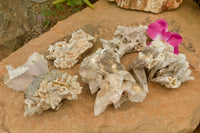 Natural Fluorescent Drusy Quartz Coated Dog Tooth Calcite Specimens x 6 From Alberts Mountain, Lesotho - TopRock