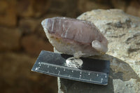 Natural Extra Large Smokey Amethyst Skeletal / Sceptre Crystals  x 6 From Chiredzi, Zimbabwe