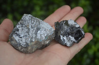 Natural Rare Silver Lead Galena Specimens  x 12 From Namibia - Toprock Gemstones and Minerals 