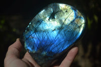 Polished Stunning Labradorite Standing Free Forms With Intense Full Face Flash  x 2 From Tulear, Madagascar