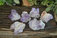 Natural Jacaranda Amethyst Clusters  x 6 From Mumbwa, Zambia - Toprock Gemstones and Minerals 