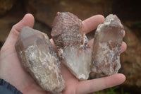 Natural Red Hematoid Quartz Specimens  x 12 From Karoi, Zimbabwe - TopRock