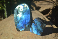 Polished Stunning Labradorite Standing Free Forms With Intense Full Face Flash  x 2 From Tulear, Madagascar