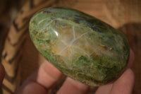 Polished  Green Chrysoprase Standing Free Forms  x 6 From Ambatondrazaka, Madagascar