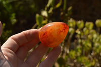 Polished Small Carnelian Agate Eggs  x 20 From Madagascar - TopRock