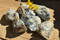 Natural Blue Kyanite Crystals In Schist Specimens  x 6 From Karoi, Zimbabwe - TopRock