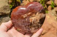 Polished Extra Large Petrified Red Podocarpus Wood Hearts  x 2 From Mahajanga, Madagascar - TopRock