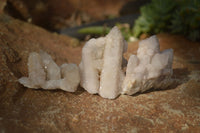 Natural White Spirit Quartz Clusters  x 12 From Boekenhouthoek, South Africa - Toprock Gemstones and Minerals 