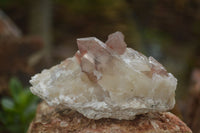 Natural Red Hematoid Quartz Specimens  x 12 From Karoi, Zimbabwe - TopRock