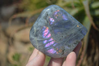 Polished Rare Purple Flash Labradorite Standing Free Forms x 3 From Tulear, Madagascar