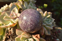 Polished Purple Lepidolite Spheres  x 6 From Madagascar - TopRock