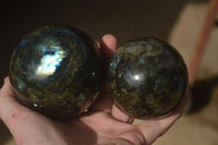 Polished  Labradorite Spheres With Subtle Flash  x 3 From Tulear, Madagascar