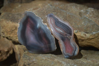 Polished River Agate Nodules  x 6 From Sashe River, Zimbabwe