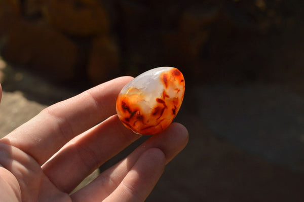 Polished Small Carnelian Agate Eggs  x 20 From Madagascar - TopRock