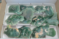 Polished One Side Polished Emerald Mtorolite Plates  x 12 From Zimbabwe