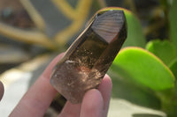 Polished Wispy Phantom Smokey Quartz Points x 6 From Madagascar