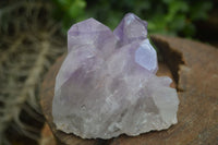 Natural Jacaranda Amethyst Clusters  x 6 From Mumbwa, Zambia - Toprock Gemstones and Minerals 