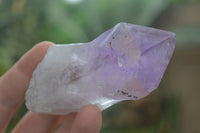 Polished Single Jacaranda Amethyst Crystals  x 12 From Zambia - Toprock Gemstones and Minerals 