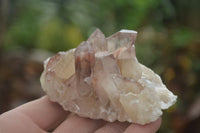 Natural Red Hematoid Quartz Specimens  x 12 From Karoi, Zimbabwe - TopRock