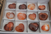 Polished Carnelian Agate Hearts  x 12 From Madagascar