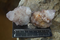 Natural Red Tinted Spirit Quartz Specimens x 12 From Boekenhouthoek, South Africa