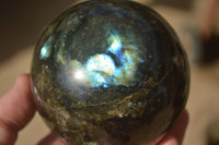 Polished  Labradorite Spheres With Subtle Flash  x 3 From Tulear, Madagascar