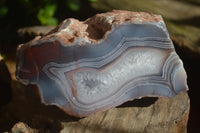 Polished Banded River Agate Nodules  x 4 From Sashe River, Zimbabwe - Toprock Gemstones and Minerals 