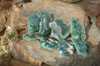 Polished One Side Polished Emerald Mtorolite Plates  x 12 From Zimbabwe