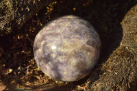 Polished Purple Lepidolite Spheres  x 6 From Madagascar - TopRock