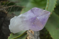 Polished Single Jacaranda Amethyst Crystals  x 12 From Zambia - Toprock Gemstones and Minerals 