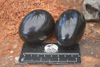 Polished Black Basalt Eggs  x 6 From Madagascar - Toprock Gemstones and Minerals 