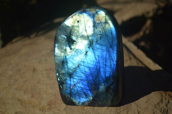 Polished Stunning Labradorite Standing Free Forms With Intense Full Face Flash  x 2 From Tulear, Madagascar