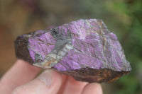 Natural Metallic Purpurite Cobbed Specimens  x 12 From Erongo, Namibia - Toprock Gemstones and Minerals 