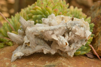 Natural Fluorescent Drusy Quartz Coated Dog Tooth Calcite Specimens x 6 From Alberts Mountain, Lesotho - TopRock