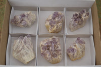 Natural Sugar Amethyst Clusters  x 6 From Zambia - Toprock Gemstones and Minerals 