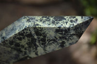 Polished Double Terminated Leopard Stone Points  x 3 From Zimbabwe