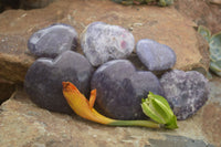 Polished Purple Lepidolite Hearts  x 6 From Madagascar - TopRock