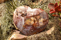 Polished Extra Large Petrified Red Podocarpus Wood Hearts  x 2 From Mahajanga, Madagascar - TopRock