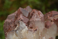 Natural Red Hematoid Quartz Specimens x 2 From Karoi, Zimbabwe - TopRock